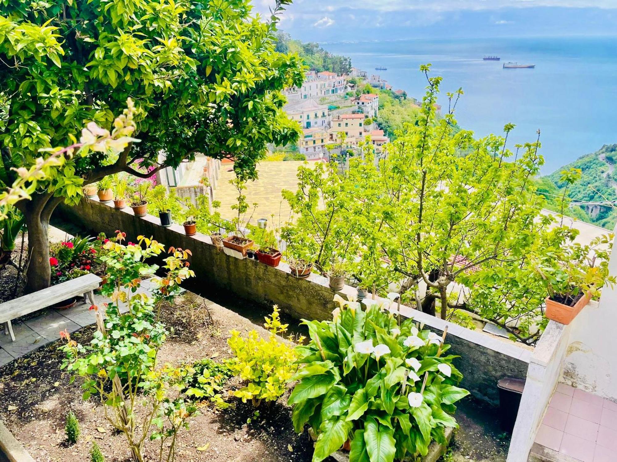 Апартаменты Borgo Virginia - Sea View In Amalfi Coast Виетри Экстерьер фото
