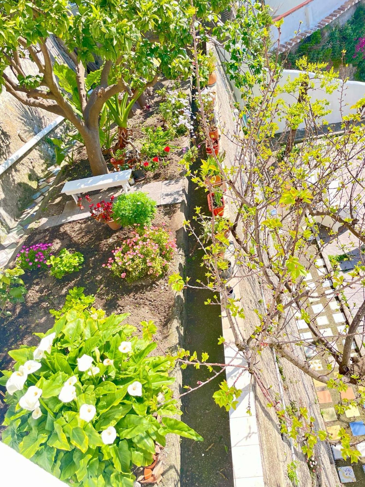 Апартаменты Borgo Virginia - Sea View In Amalfi Coast Виетри Экстерьер фото
